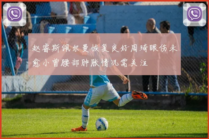赵睿斯佩尔曼恢复良好周琦眼伤未愈小曾腰部肿胀情况需关注